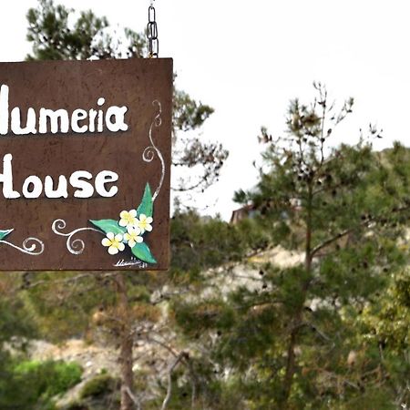 Plumeria House アルハンゲロス エクステリア 写真