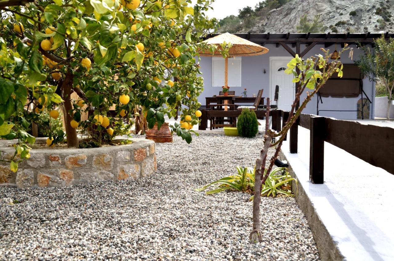 Plumeria House アルハンゲロス エクステリア 写真