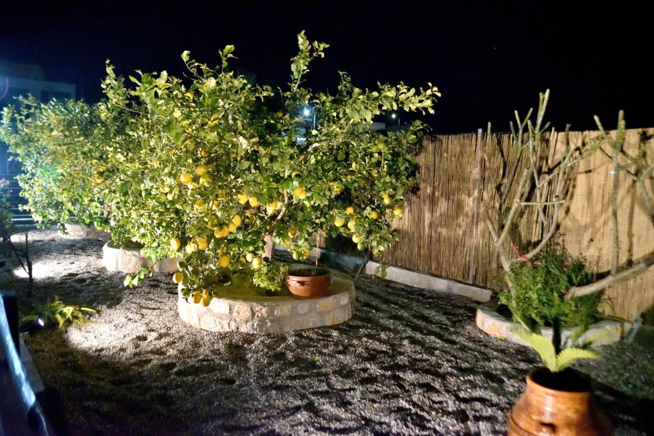 Plumeria House アルハンゲロス エクステリア 写真