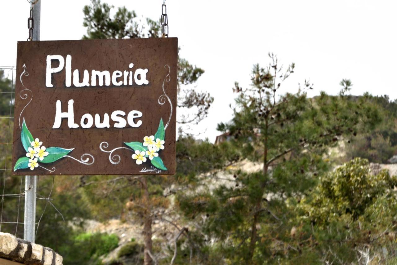 Plumeria House アルハンゲロス エクステリア 写真